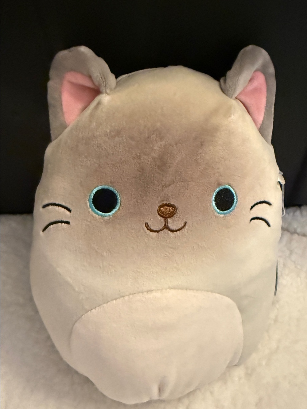Squishmallow Siamese Plush Toy - Cream Cat Plush